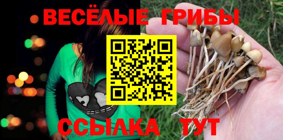 Галлюциногенные грибы GOLDEN TEACHER  Вход с VPN  наркотики  Пугачёв 